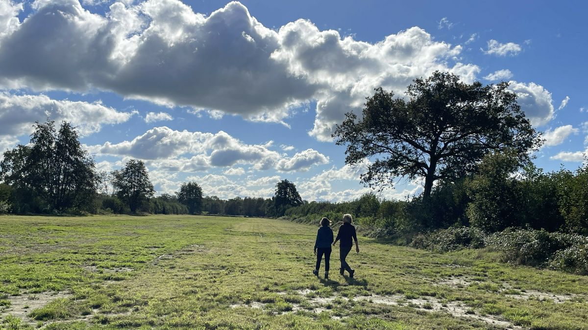 Waterberging, natuurherstel en vrije vissen in de Ootmaanlanden