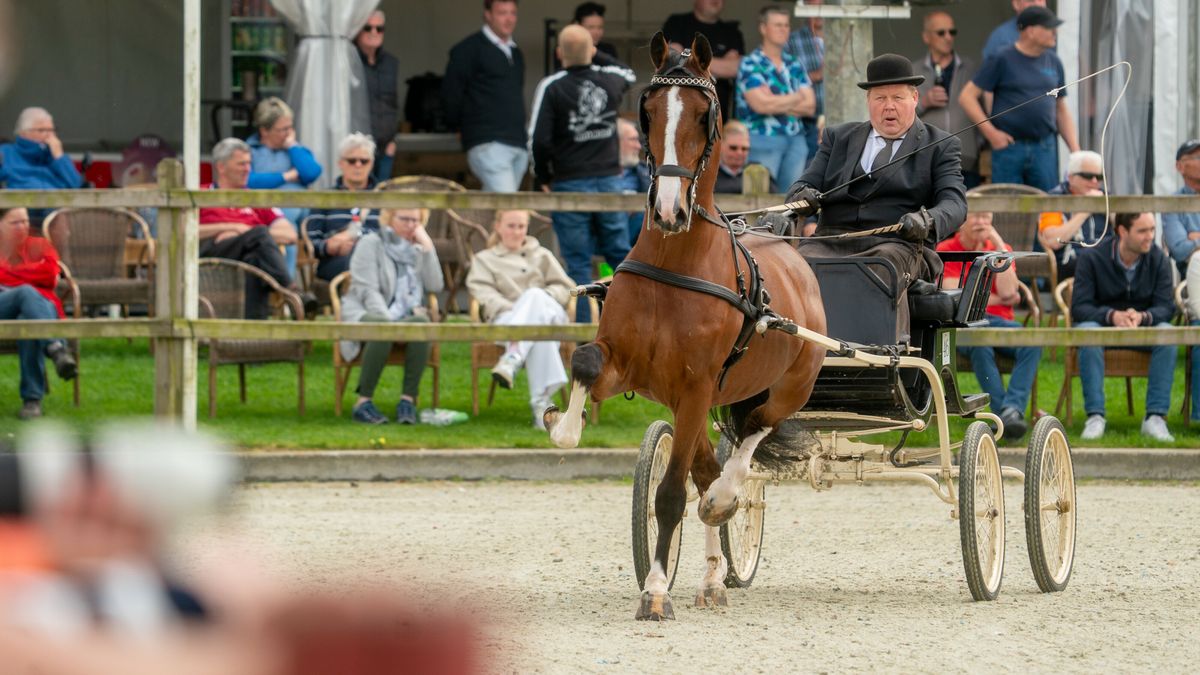 In beeld: Men- en tuigspektakel in Exloo