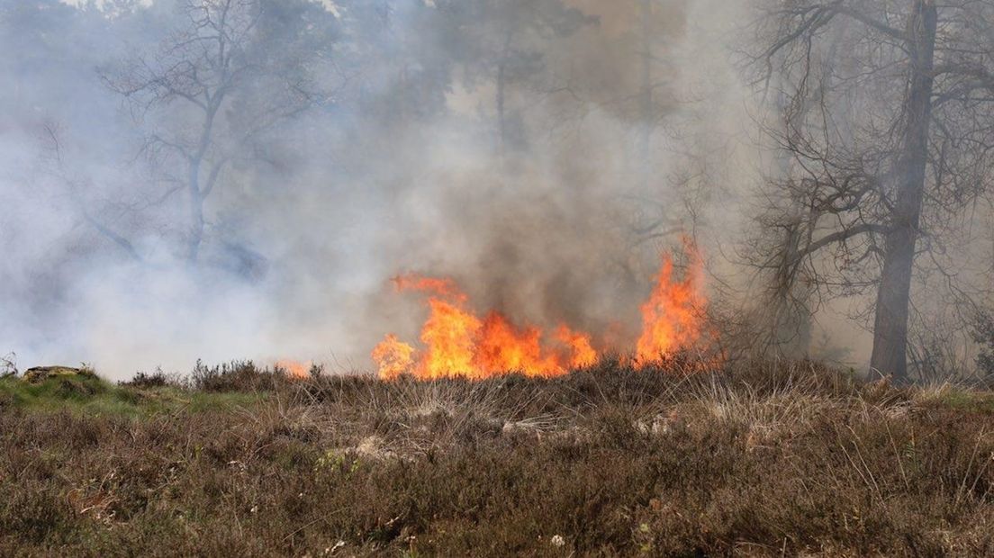 Natuur brandt bij Beuningen