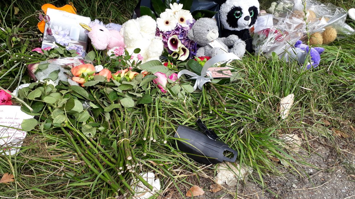 'Een klap en toen was je weg'; kaarten en bloemen op plek waar Lieke (11) verongelukte