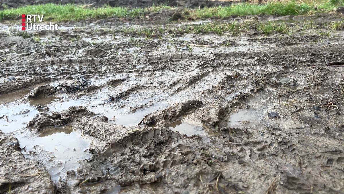 Met de bouw van 1200 woningen wordt Odijk een dorp voor forensen: 'Misschien worden we groter dan Bu