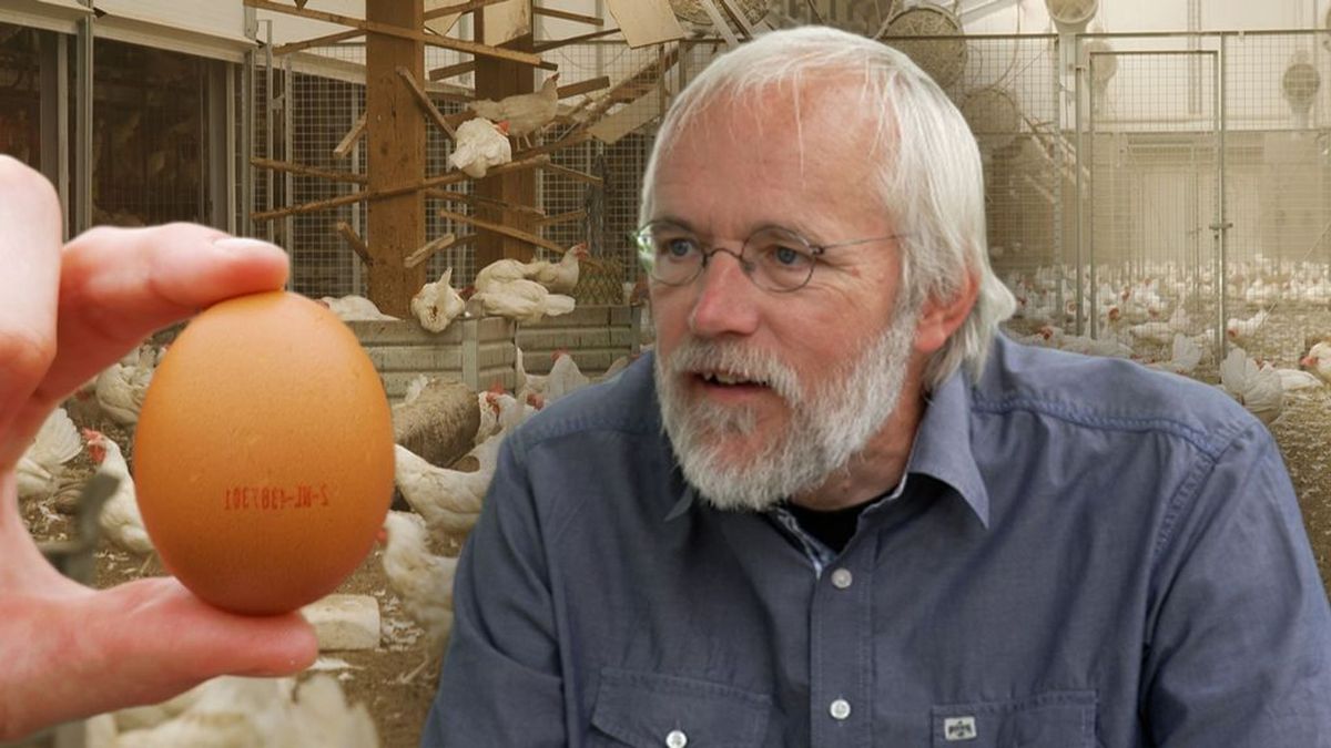 Eieren waren nog nooit zo duur: dit moet je weten als je een doosje