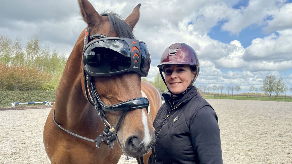 Paard Gaby uit Drouwen mag niet met zonnebril meedoen aan concours
