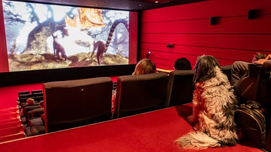Samen met het baasje naar de film: kwispelende honden nemen bioscoopzaal over Home