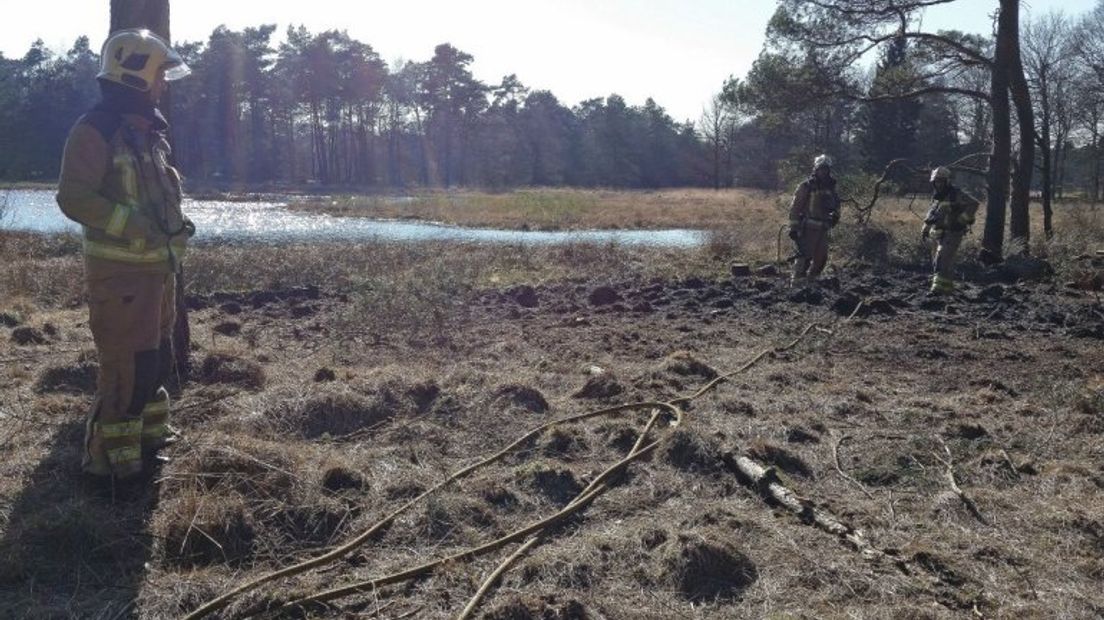 Bosbrand in Dwingeloo (Rechten: Persbureau Meter)