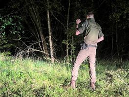 Boswachters Baarn missen een vuurwapen: 'Criminelen krijgen vrij spel'