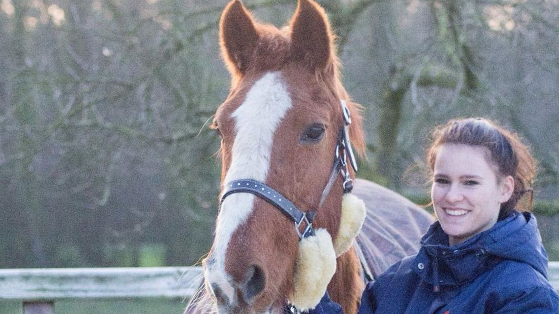 Calijn biedt met haar 'datingbureau' paarden een tweede leven