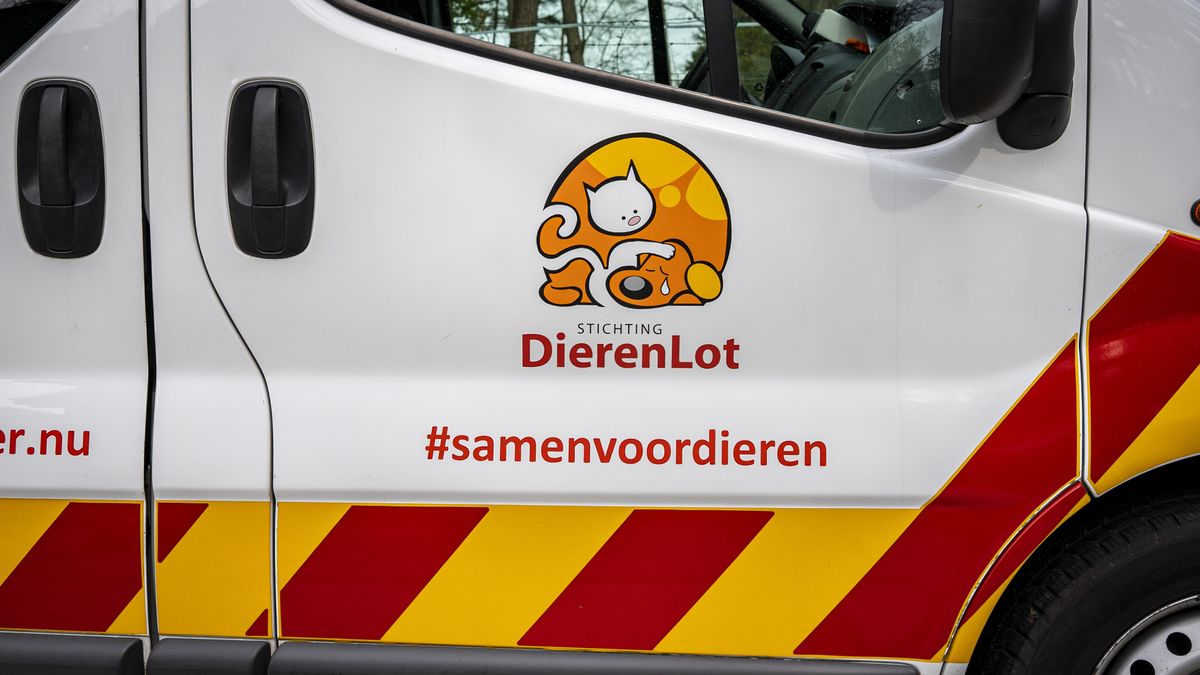 Dieropvang stopt met noodopvang dieren vanwege agressie