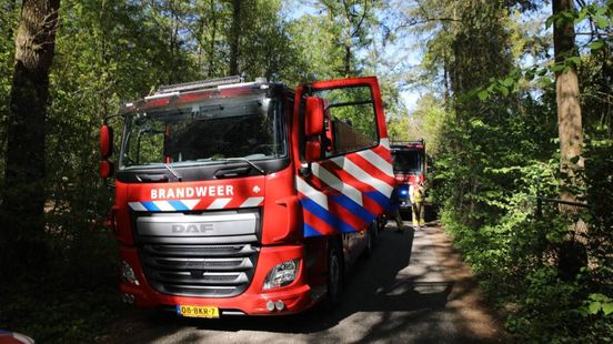 Brand in bos, mogelijk brandstichting