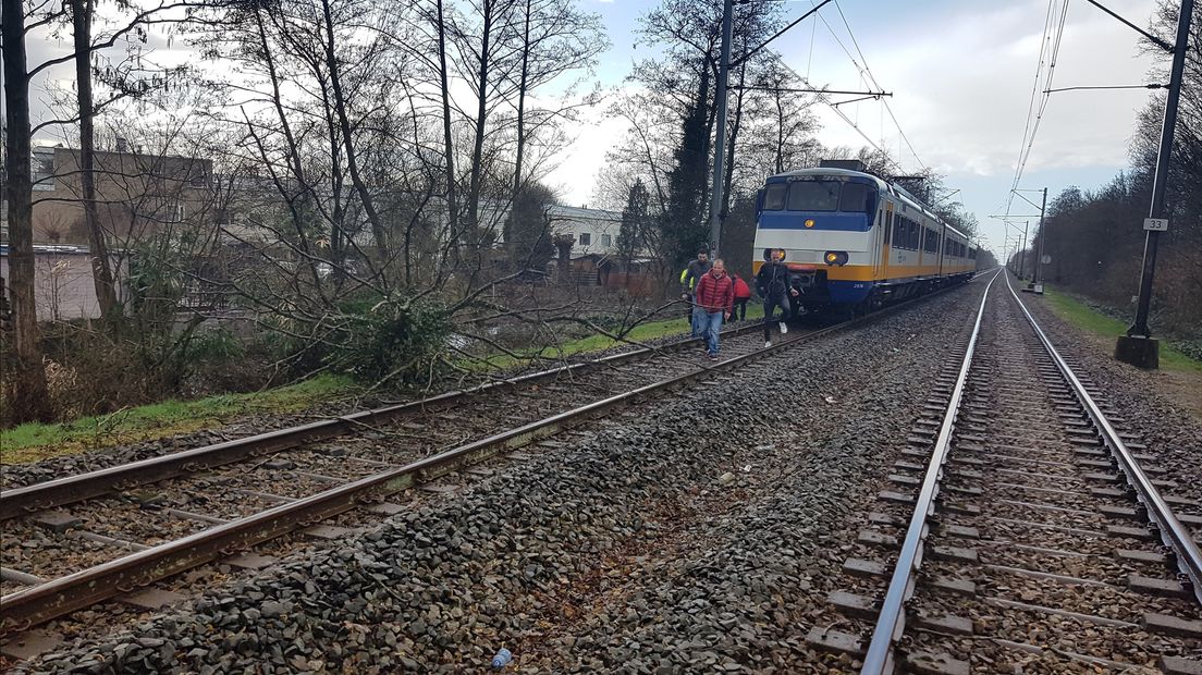 Boom op het spoor bij Veenendaal, zaterdag.