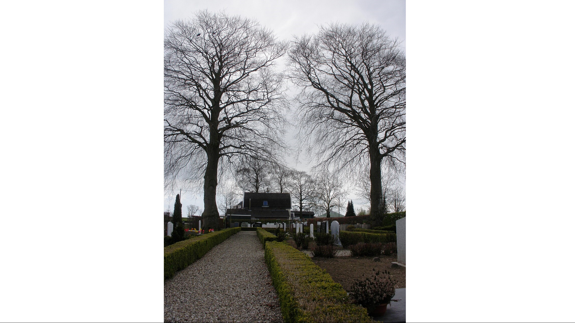 Water gevonden in graven op begraafplaats in Hekendorp, deel per direct dicht