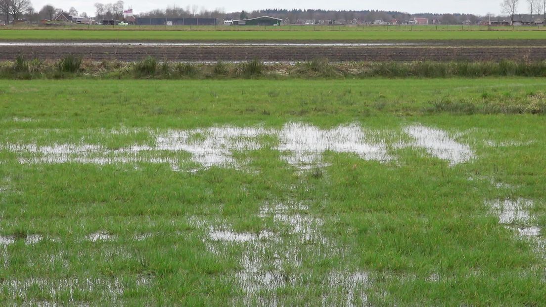 Bij Oost | Vandaag