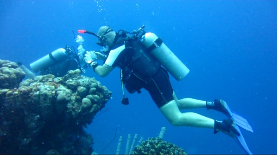 Hans Hijlkema onderwater