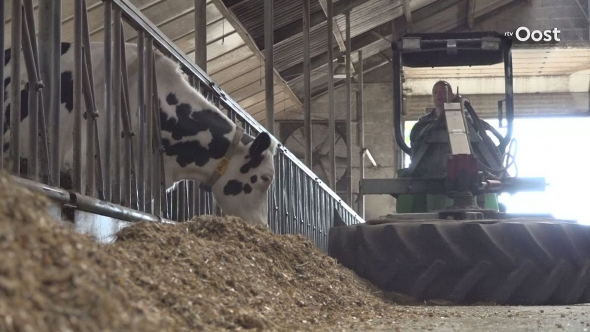 Reportage over de glyfosaatvrije melkveehouderij in St Isidorushoeve