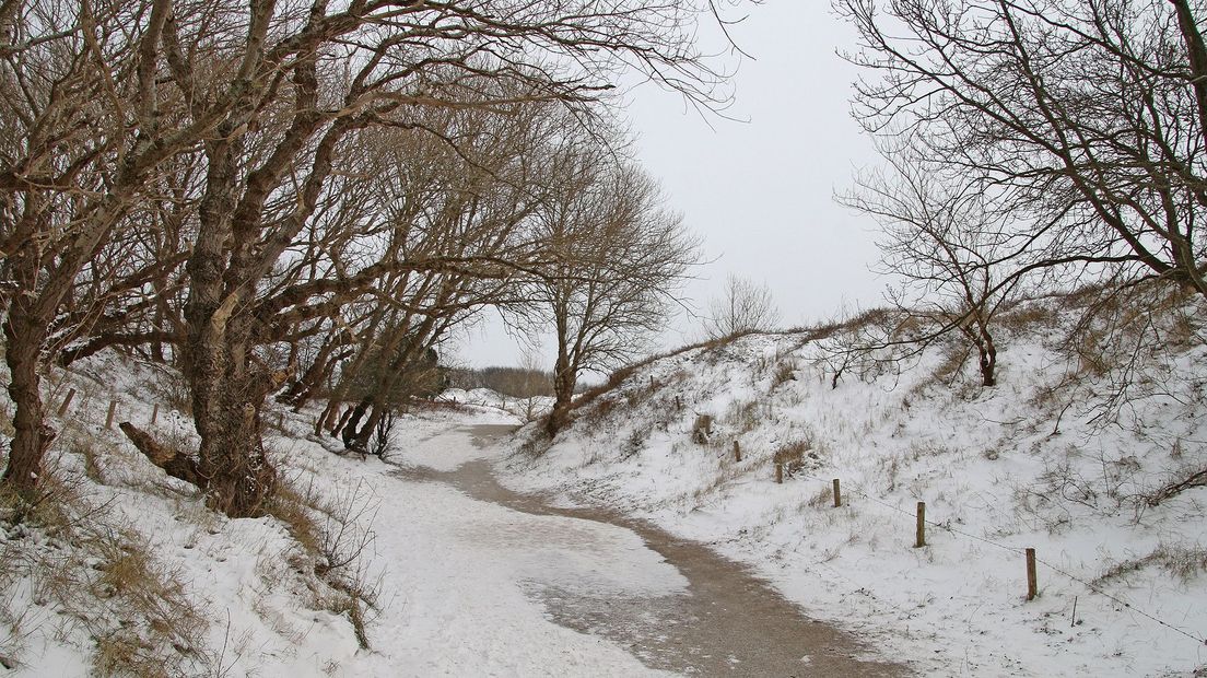 De duinen in Katwijk
