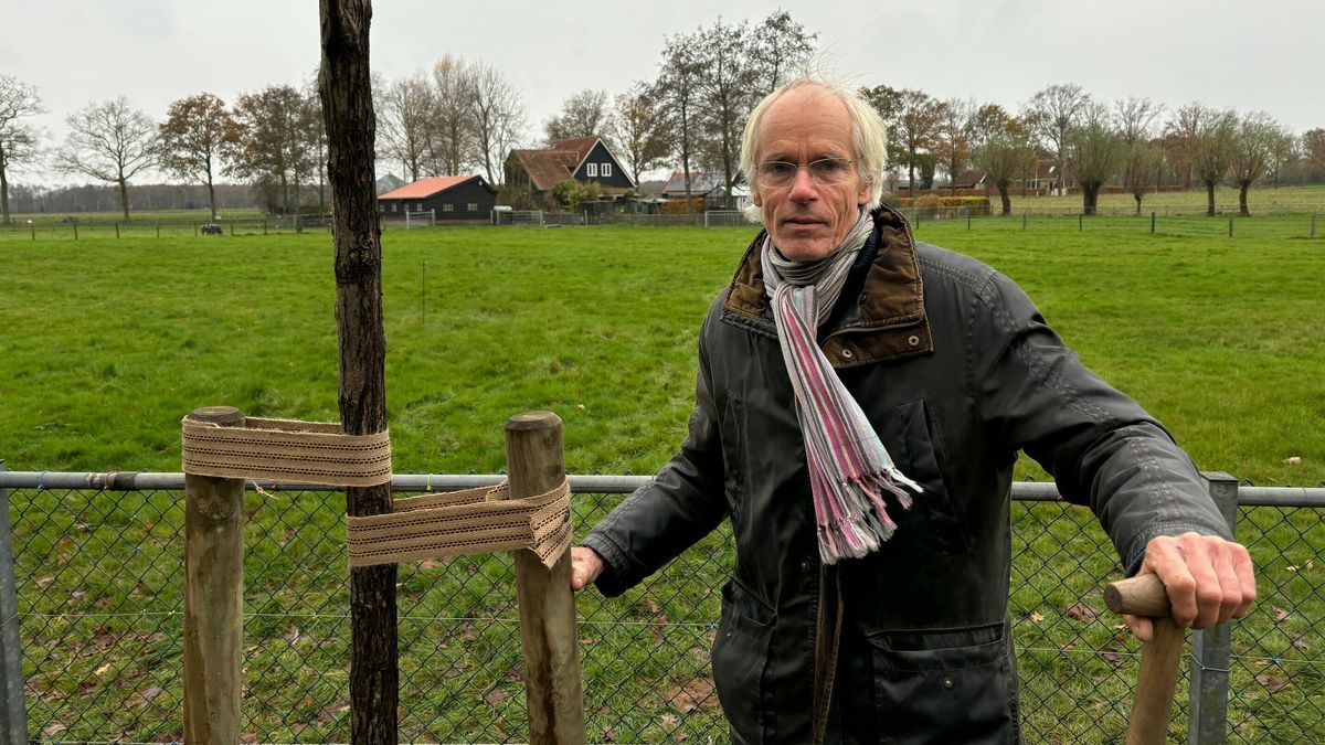 Vierde Johan de Jong-boom geplant in Wijckel: 