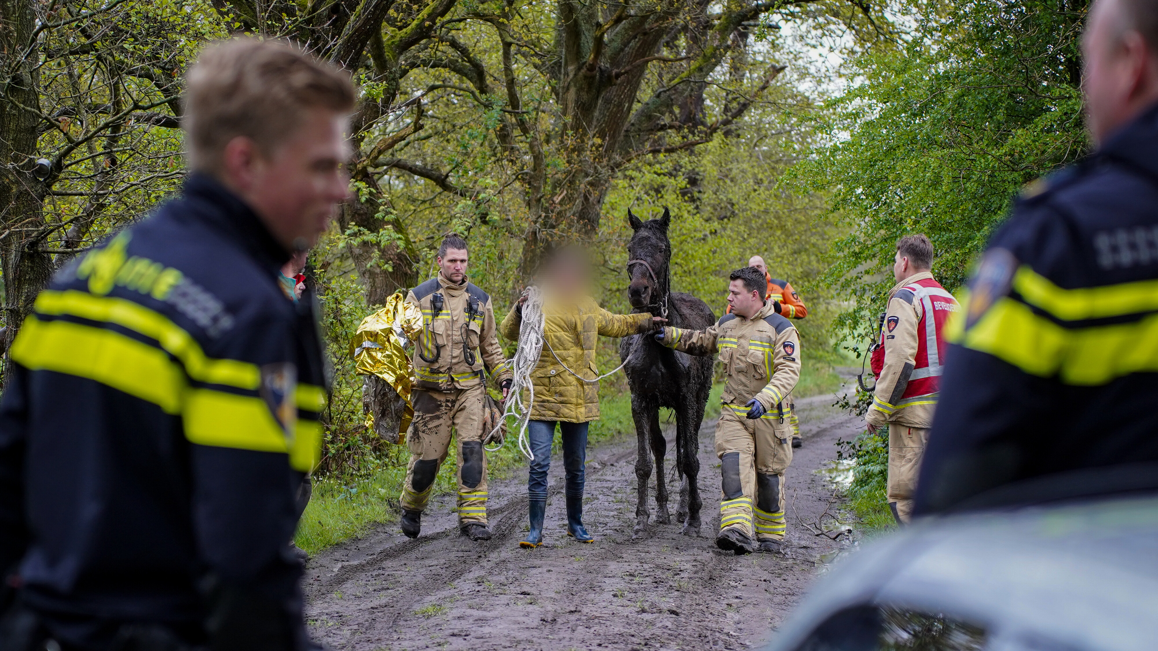 Brandweerauto Redt Paard Uit Sloot, Maar Komt Zelf Vast Te Zitten - RTV ...