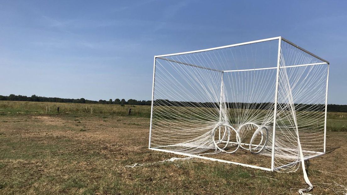 Dandelion - Victor Sanchez (Mexico). Het idee is dat je de pluisjes van een paardenbloem weg kunt blazen (Rechten: Marjolein Knol/RTV Drenthe)