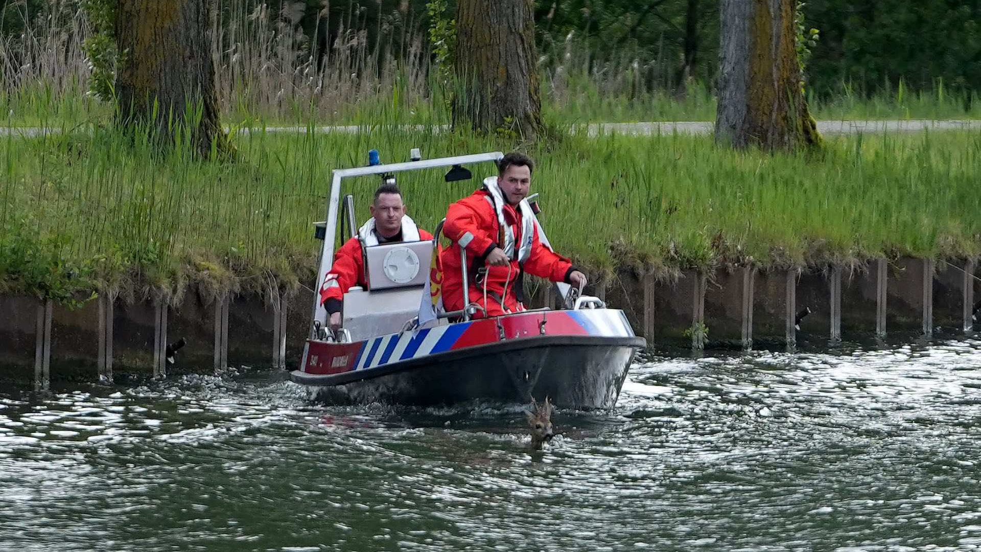 Nieuws