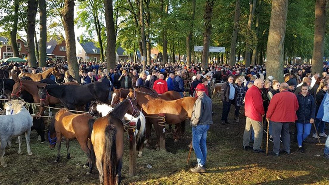 Bezoekers en paarden tijdens de Zuidlaardermarkt van vorig jaar