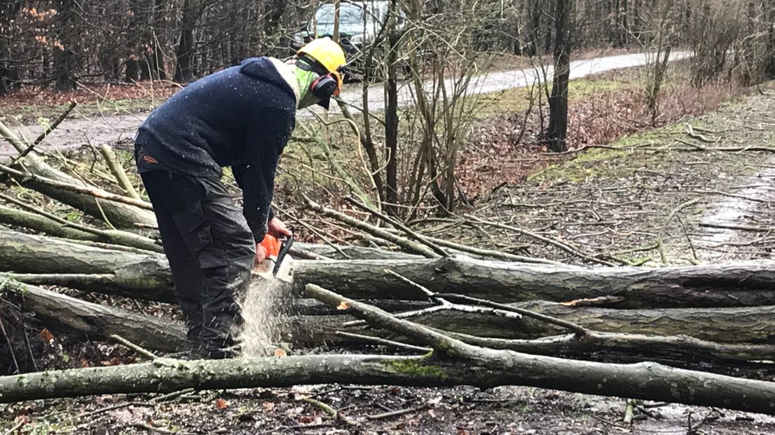 De omgevallen bomen worden van de paden gehaald