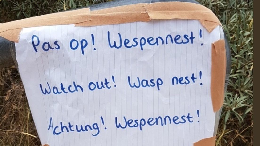 Waarschuwing voor wespen bij strand Breskens