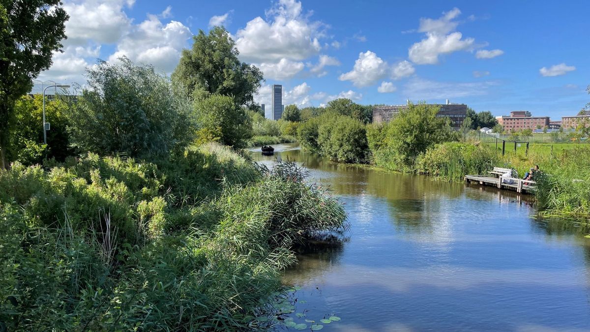 Omwonenden tegen bouwplannen in groen Potmargebied Leeuwarden