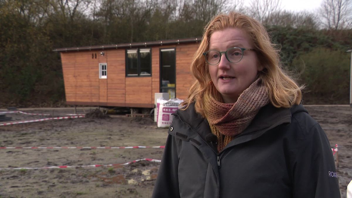 Eerste tiny houses in Assen verrijzen uit de modderpoel: Betaalbare vrijheid in het groen
