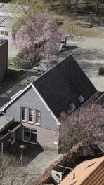 Vleermuizendak in Eext