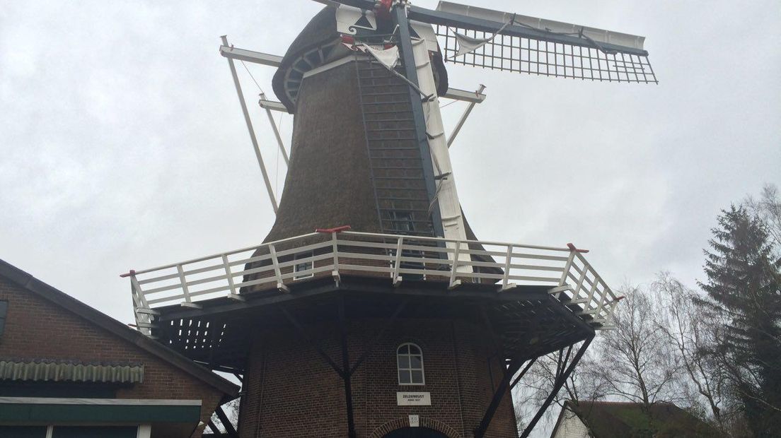 Molen Zeldenrust  (Rechten: Ineke Kemper/RTV Drenthe)