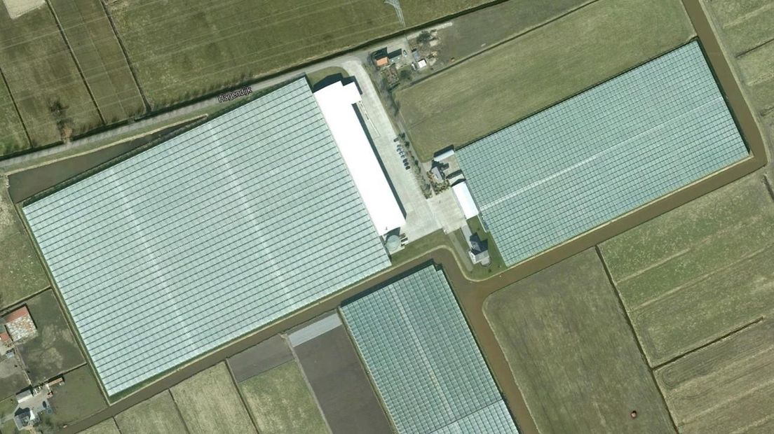 De kassen van Tuinderij Limburg