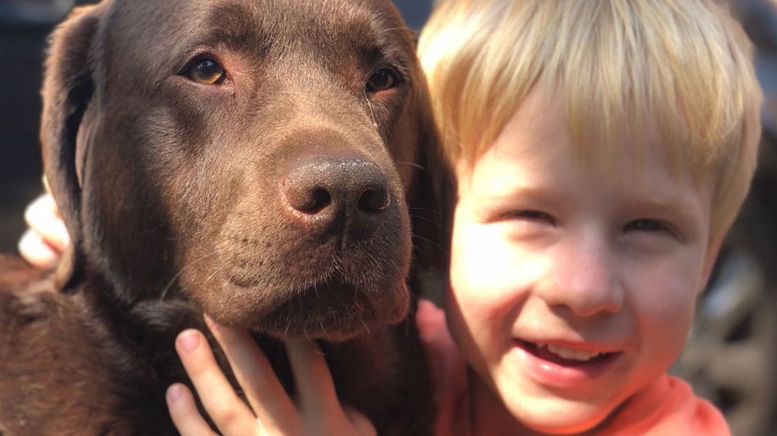 Hond Kaj is goed met kinderen.