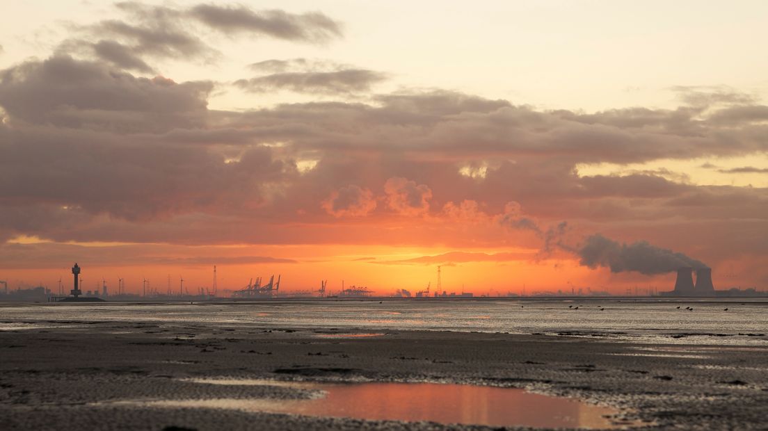 'Kans op aanvaringen Westerschelde neemt toe door plannen Antwerpen'