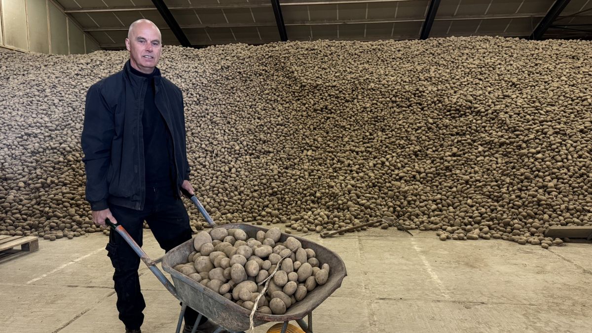Aardappelteler Hendrik Jan raakt zijn aardappelen aan de straatstenen niet kwijt