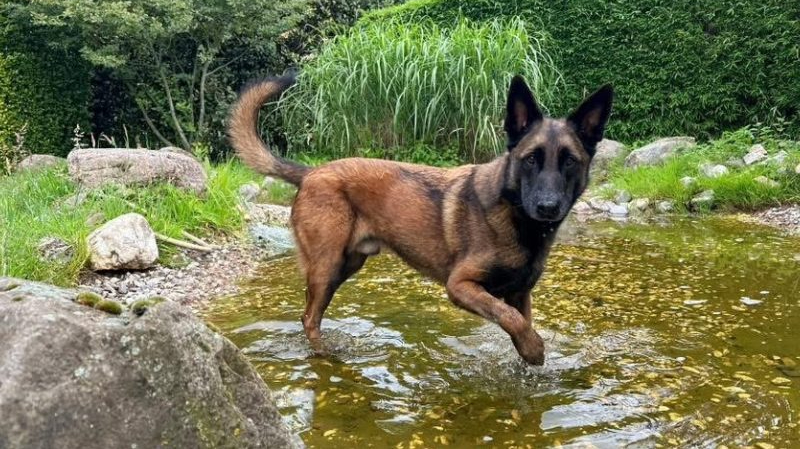 Clyde houdt van de natuur