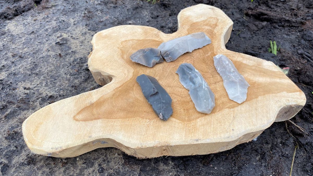 Unieke prehistorische resten in bouwgrond Kloosterakker in Assen