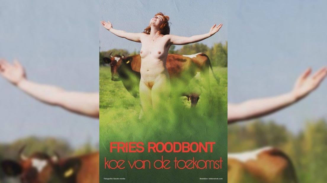 De poster om Fries Roodbonte koeien te promoten