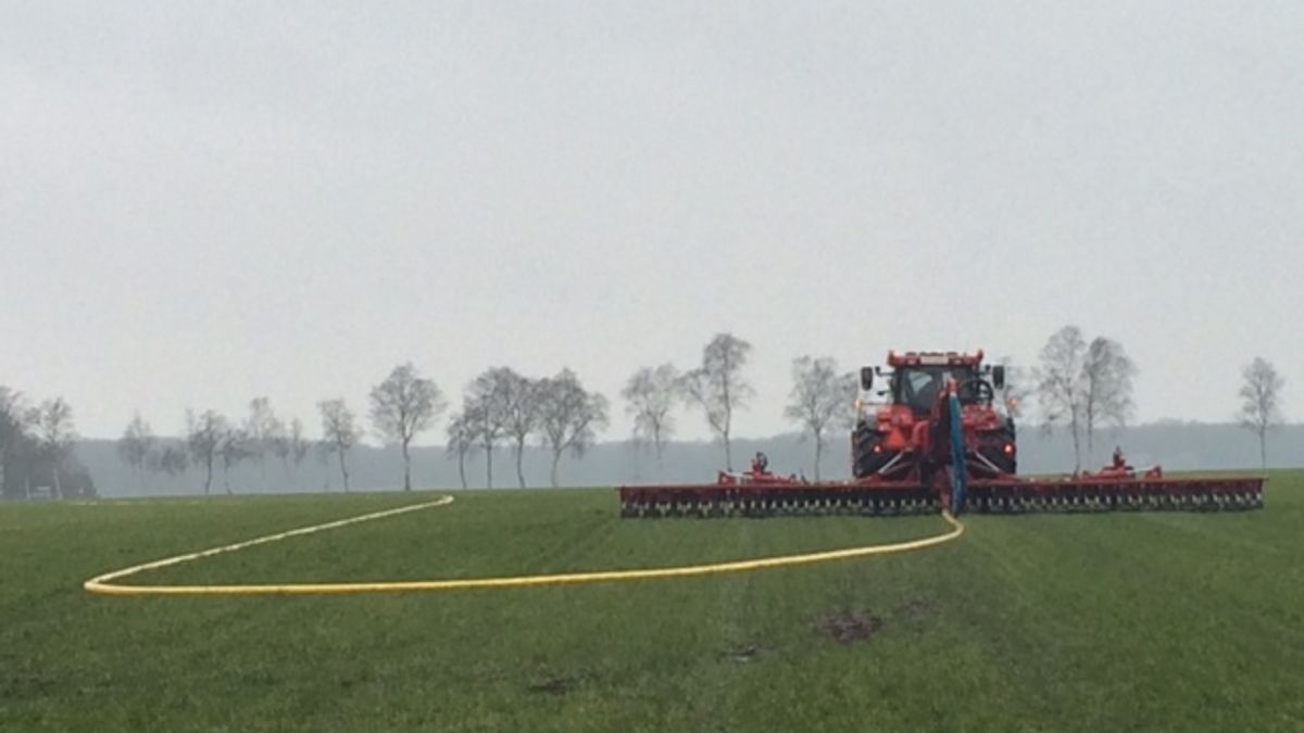 Drentse boer wil muizen verjagen met koeienmest