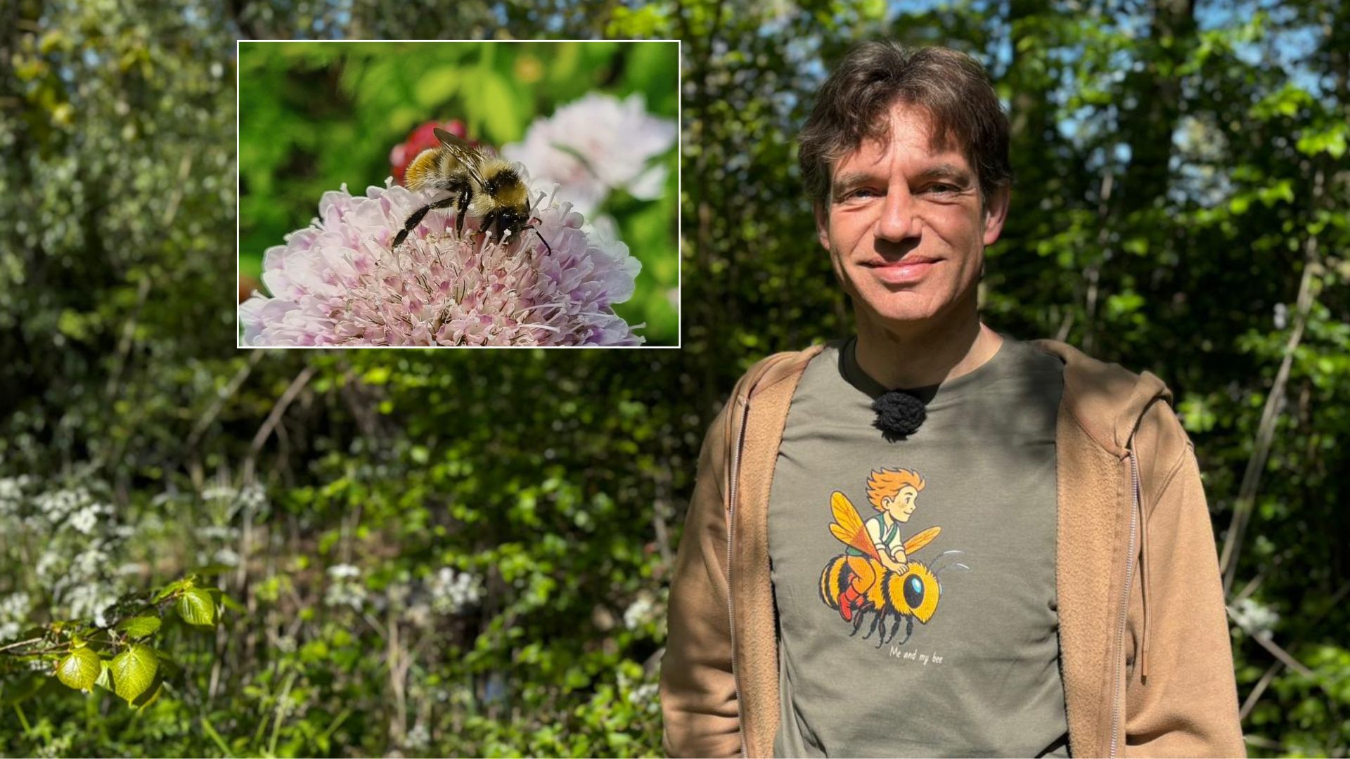 Zorgen over Zeeuwse bijensoorten: 'Over een paar jaar gaan we deze bij niet meer zien'