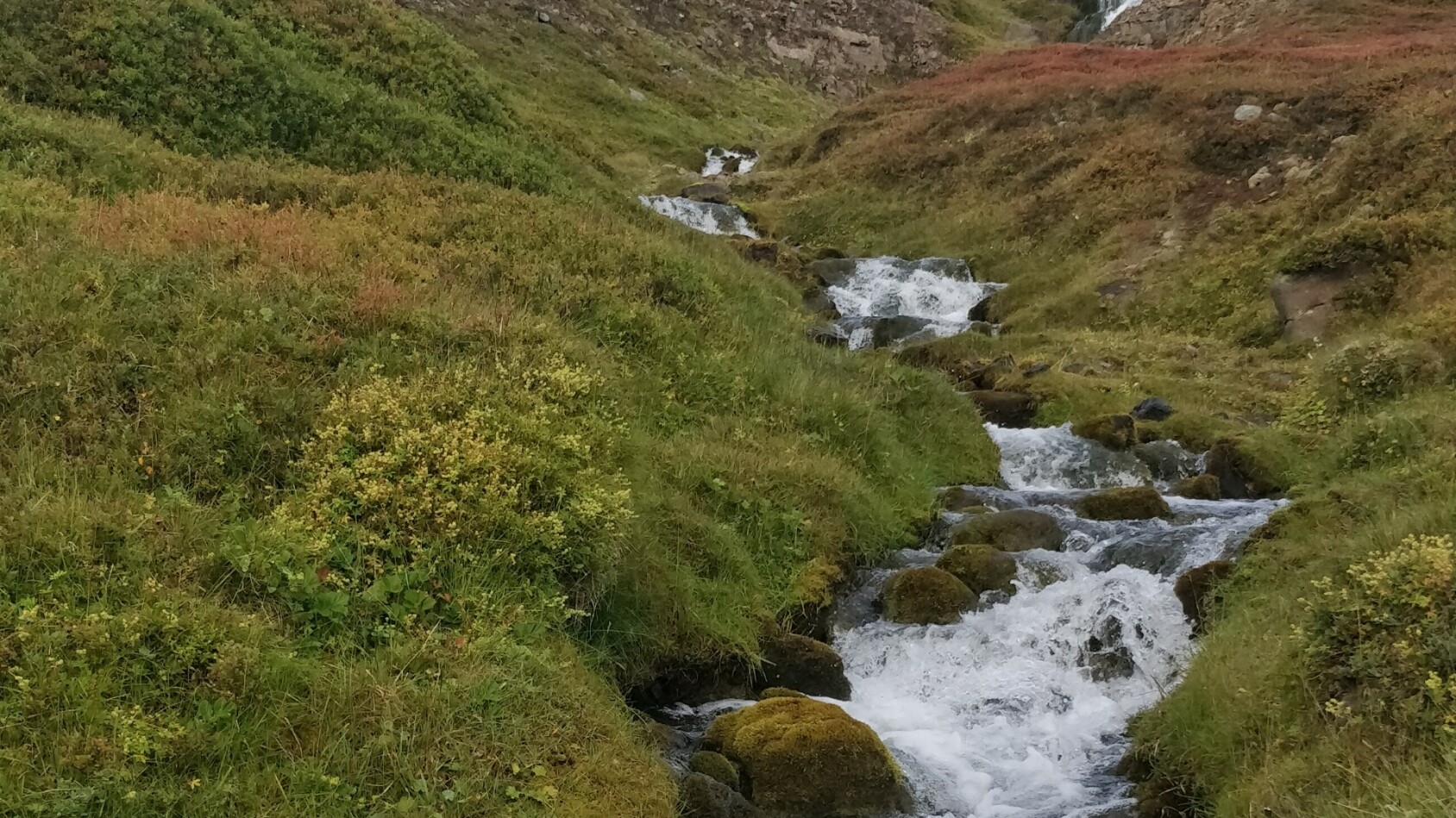 Een riviertje in IJsland
