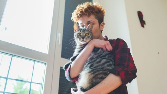 Dit zijn de populairste namen voor Gelderse honden en katten