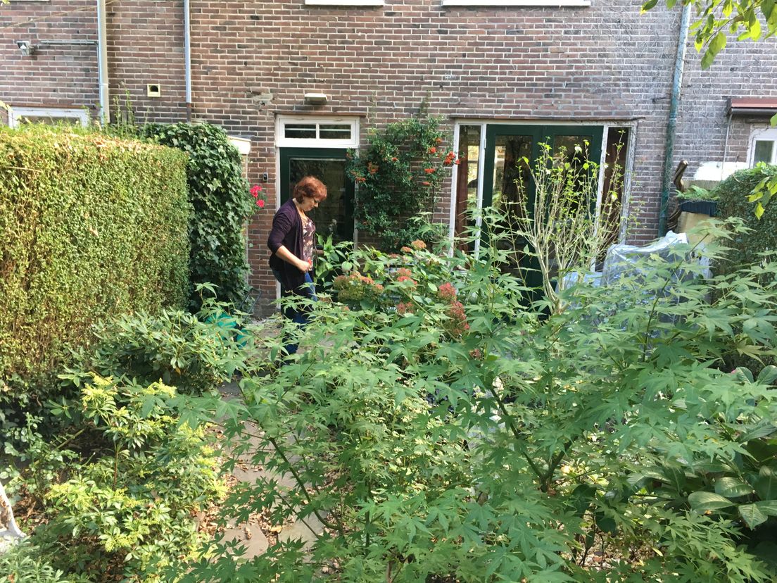 Dit is al veel beter, de tuin van Els de Winter die van een flat kwam en leerde tuinieren.