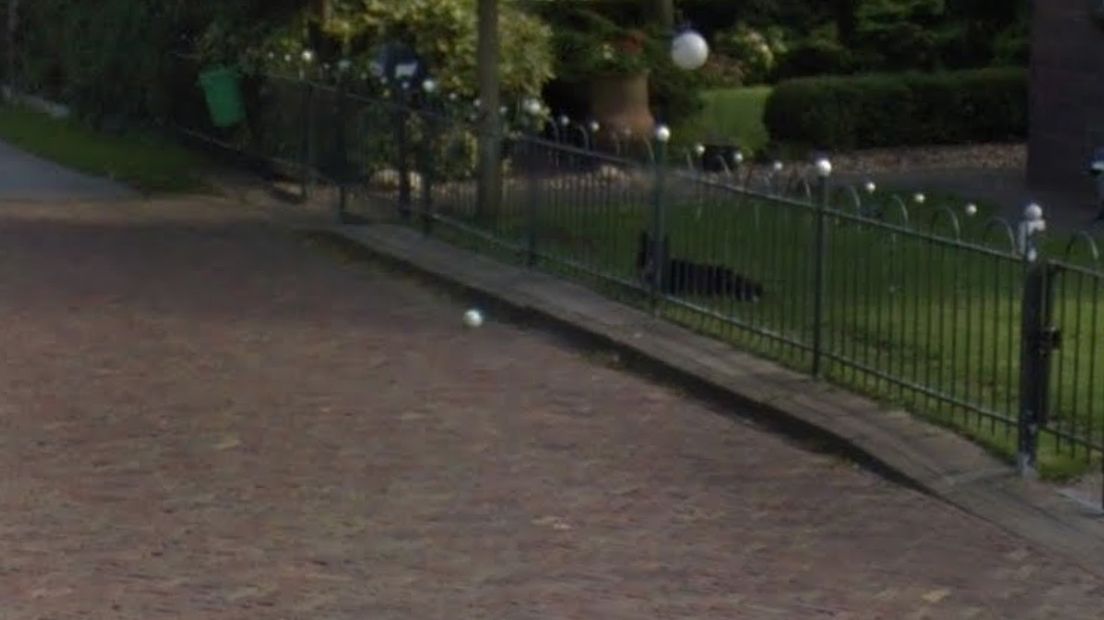 Ook Google Streetview kon niet om de hond heen (Screenshot Streetview)