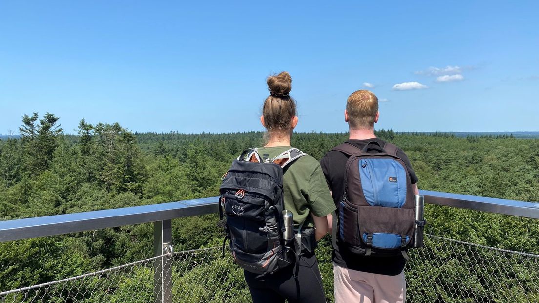 Deze wandelaars kiezen voor De Kaapse Bossen in Doorn. Vanaf de uitkijktoren hebben ze een prachtig uitzicht over de Utrechtse Heuvelrug. Je hoort er vrijwel alleen vogels.