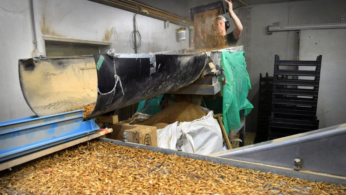 Oud-buurman Wadudu in Beilen lijkt stap dichter bij schadeclaim