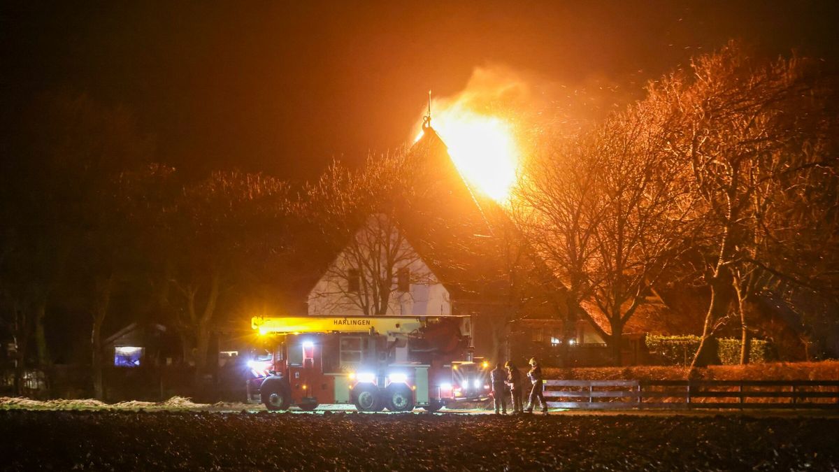 ME ingezet in Sint Annaparochie en Marrum, vier aanhoudingen | Brand in schuur in Gerkesklooster is 