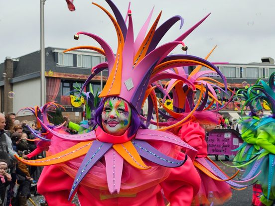 In Beeld: Grote Sallandse Carnavalsoptocht in Raalte