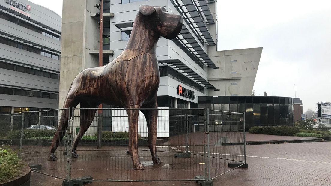 Mannes staat in de hekken: morgen wordt hij van zijn plek getakeld (Rechten: RTV Drenthe / Margriet Benak)