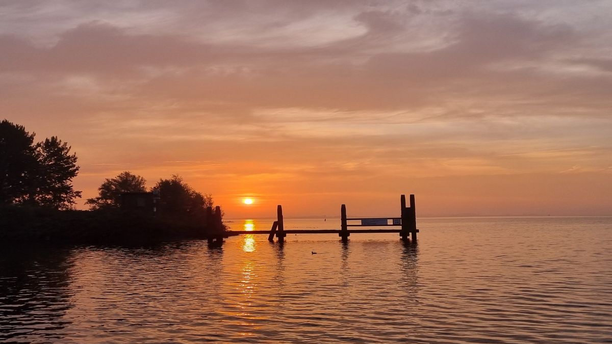 Het weer van vandaag: vrij warm en droog - Rijnmond
