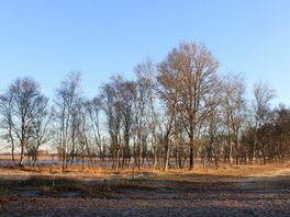 Niet alleen boeren: wat geldt voor andere uitstoters in bufferzones van Natura 2000?